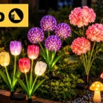 Świecące dekoracje do ogrodu już od 5 zł. Oferta Netto kończy się już jutro