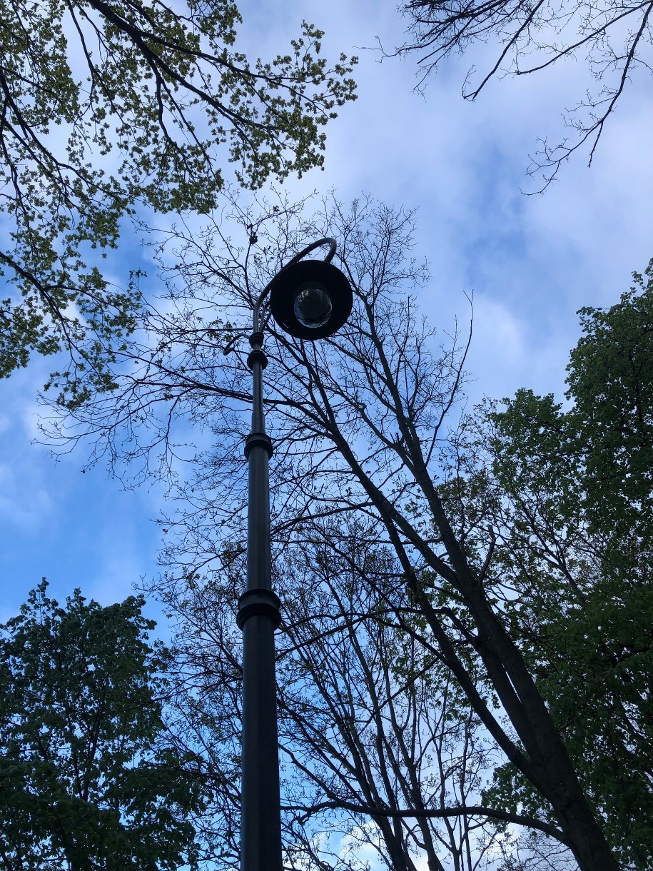 "Świecące pastorały" powróciły /Michał Dobrołowicz /RMF FM