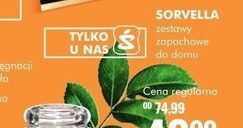 Świece Yankee Candle taniej! /Super-Pharm /INTERIA.PL