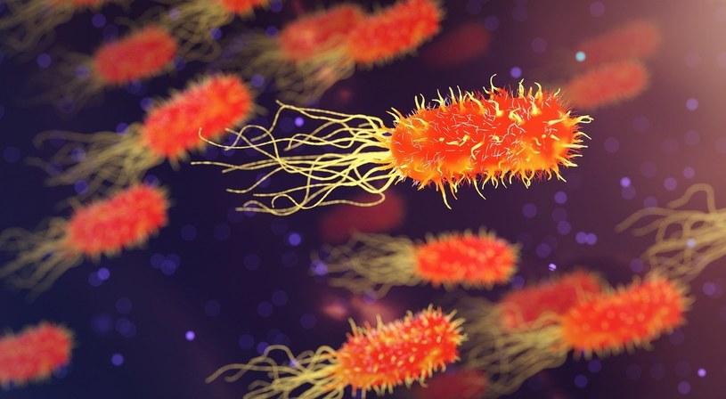 Świecenie może spowolnić powstawanie bakterii odpornych na antybiotyki /Geekweek