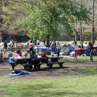 Amerykanie wracają do pracy, polonia wciąż świętuje 