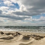 Świetne wieści dla urlopowiczów nad Bałtykiem: Wszystkie kąpieliska są już wolne od sinic!