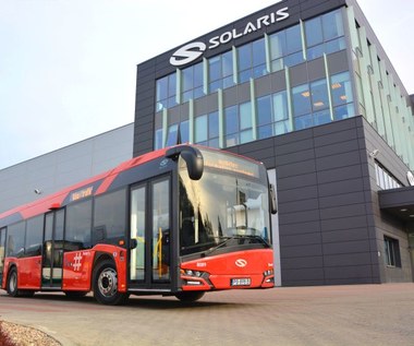 Świetne wyniki Solarisa. Polska firma zarobiła krocie! 