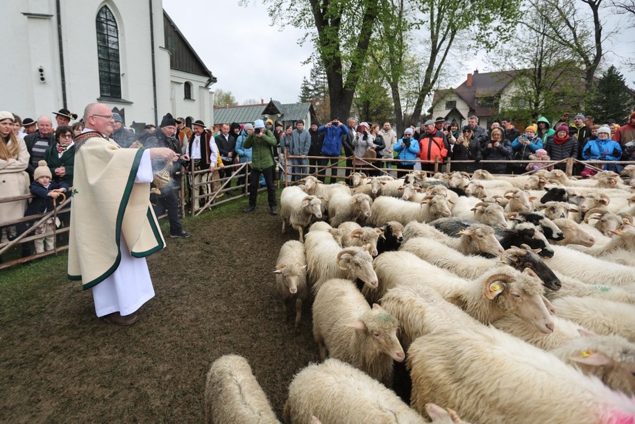 Święto Bacowskie w Ludźmierzu /Grzegorz Momot /PAP