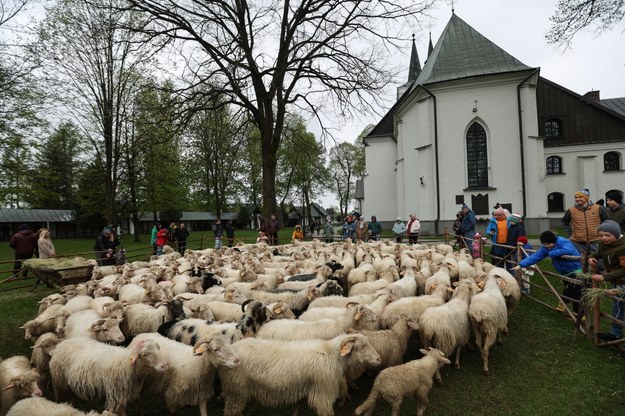 Święto Bacowskie w Ludźmierzu /Grzegorz Momot /PAP