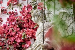 ​Święto dziedzińców w Kordobie. Galeria