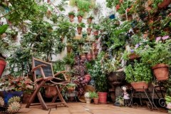 ​Święto dziedzińców w Kordobie. Galeria