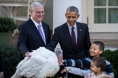 Święto Dziękczynienia: Barack Obama ułaskawił indyki
