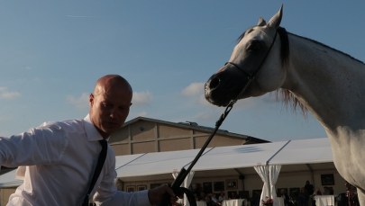 Święto koni arabskich w Michałowicach zakończone