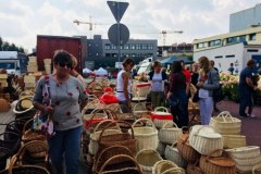 Święto Kwiatów, Owoców i Warzyw w Skierniewicach