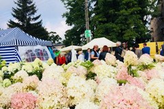 Święto Kwiatów, Owoców i Warzyw w Skierniewicach