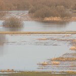 Święto nad Narwią i Biebrzą. Rzeki znów mają rozlewiska