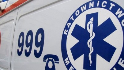 Świętokrzyskie: Pies pogryzł dwie dziewczynki