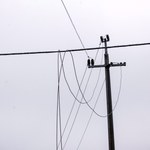 Świętokrzyskie: Setki odbiorców nadal bez prądu