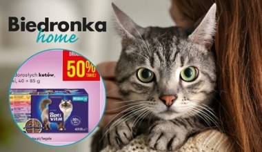 Świętuj Dzień Kota z Biedronka Home - karma i akcesoria w dobrej cenie