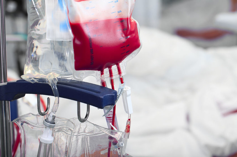 Świeża krew przyspiesza rekonwalescencję po operacji serca /123RF/PICSEL