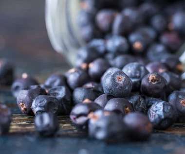 Świeże i suszone jagody do mięs i kiszonek. Działają przeciwzapalnie, obniżają cukier i wzmacniają odporność