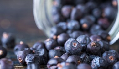 Świeże i suszone jagody do mięs i kiszonek. Działają przeciwzapalnie, obniżają cukier i wzmacniają odporność