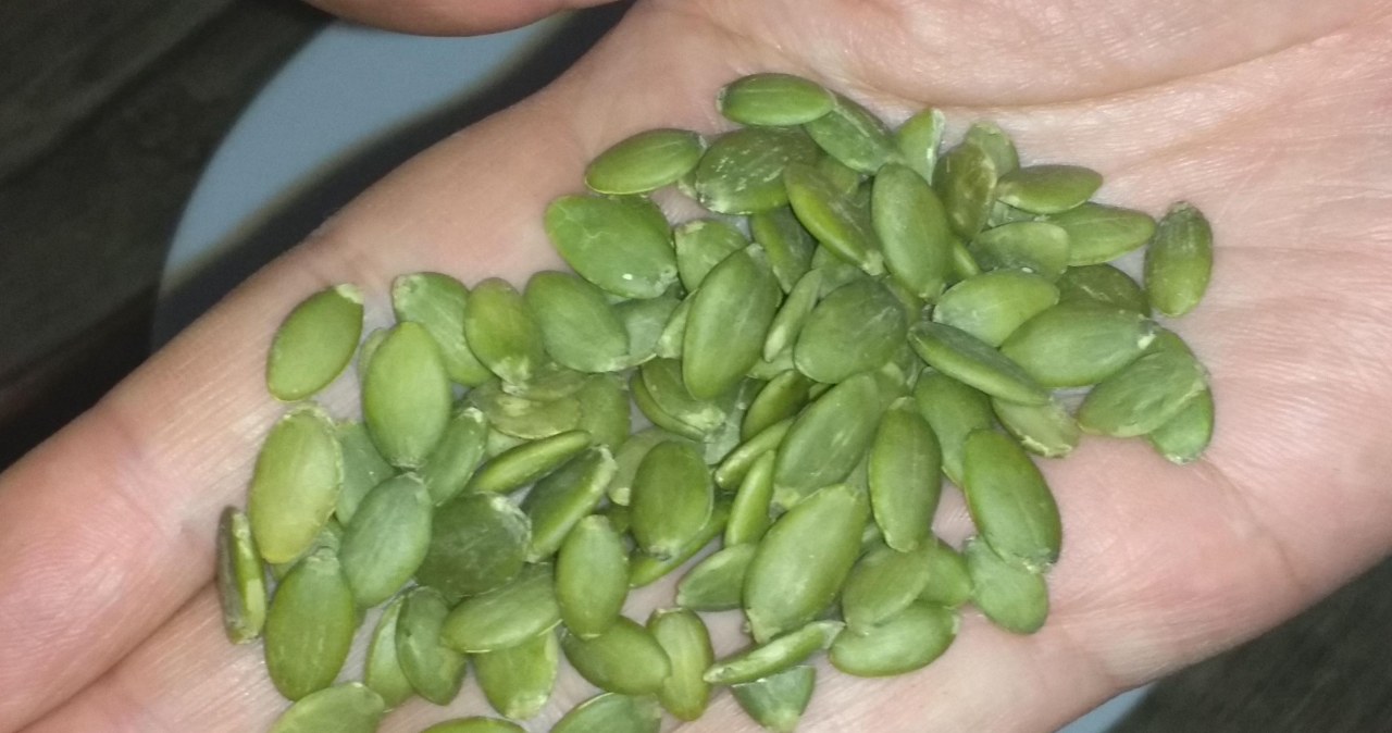 Świeże pestki dyni zawierają sporo cynku i magnezu /Nolemi /Canva Pro