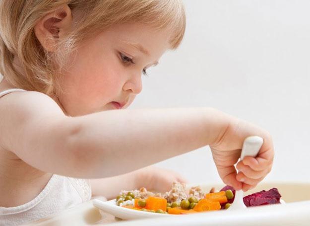 Świeże warzywa są świetnym uzupełnieniem diety dziecka