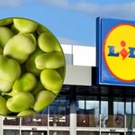 Świeży bób w Lidlu w promocyjnej cenie. Klienci ruszyli po zapasy!