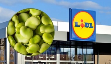 Świeży bób w Lidlu w promocyjnej cenie. Klienci ruszyli po zapasy!