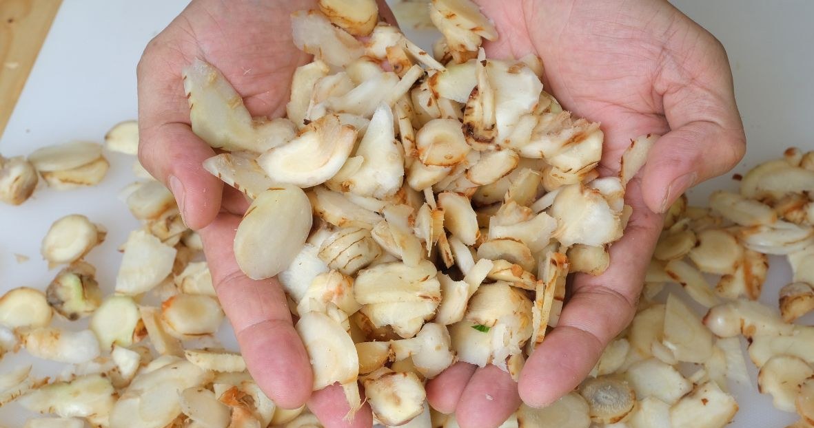 Świeży galangal najlepiej pokroić w drobne plastry i dodać do potrawy, aby nadać jej wyrazisty aromat /Yopin Mekkawan /Canva Pro