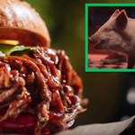 Świnia i tasak zamiast szarpanej wieprzowiny. "Wegańska" reklama zachęca do polemiki