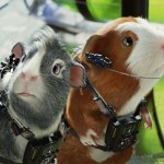 załoga Świnki pokonały Harry'ego Pottera