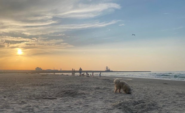 Świnoujście: Autobusy na plażę tylko do końca września