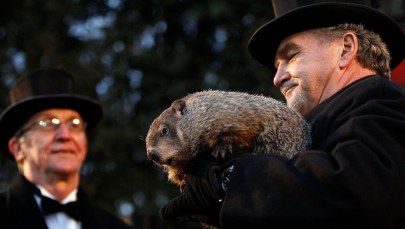 Świstak Phil nie zobaczył swojego cienia. Wkrótce nadejdzie wiosna