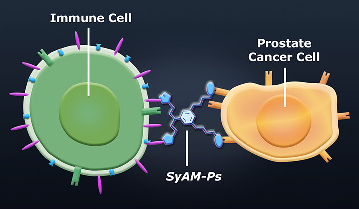 SyAMs - nowa technika walki z nowotworami /materiały prasowe