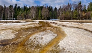 Syberia się gotuje. W Arktyce padły rekordy temperatur