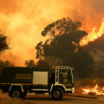 Sycylia: Strażacy podpalali lasy, by móc je później gasić