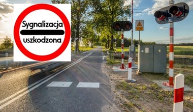 "Sygnalizacja uszkodzona". Widziałeś taki znak drogowy? Jest bez sensu! 