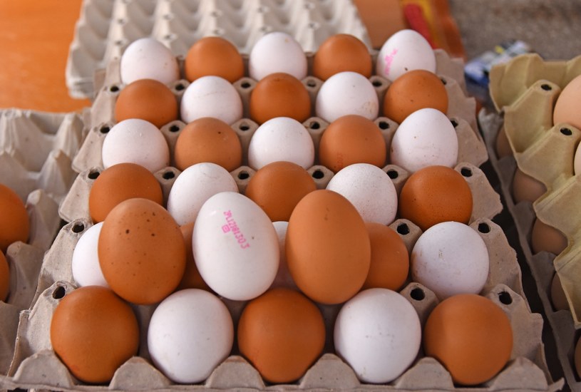 Symbol oznaczający wielkość jajka znajduje się na pudełku /East News