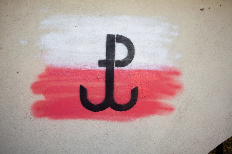Symbol Polski Walczącej /Michał Walczak /PAP