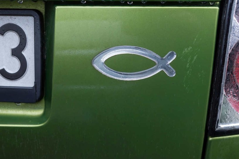 Symbol ryby na samochodzie to coś więcej niż ozdoba /ARKADIUSZ ZIOLEK/East News /East News