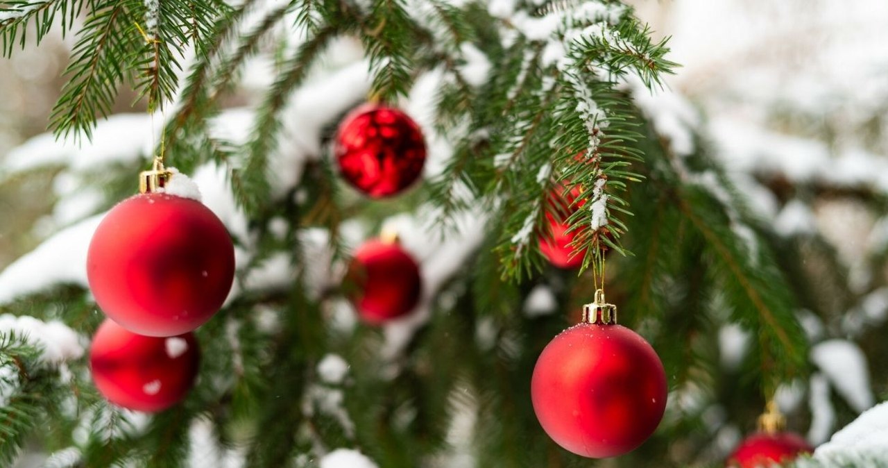 Symbolika świątecznych kolorów sięga czasów starożytnych /P.Dziurman/REPORTER /East News