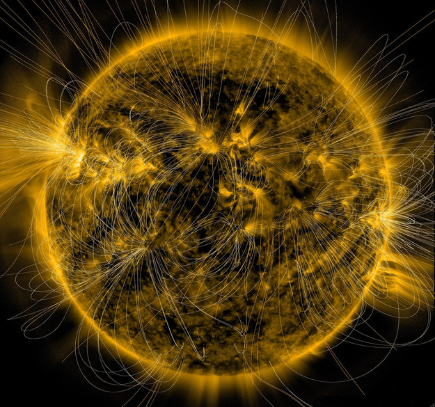 Symulacja linii pola magnetycznego wokół Słońca /Fot: NASA/SDO/AIA/LMSAL /materiały prasowe