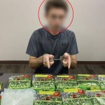 Syn milionerów z walizką pełną narkotyków. 23-latkowi grozi kara śmierci