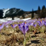 Synoptycy: Ciepły majowy weekend w Tatrach 