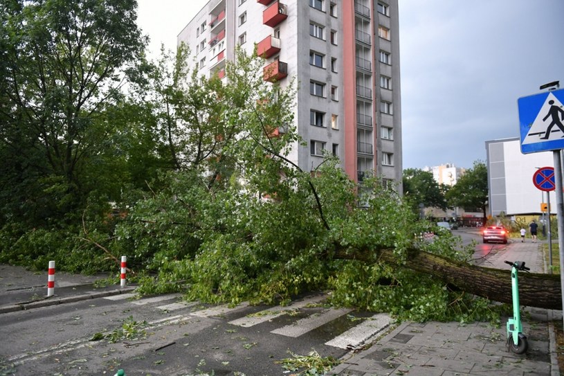 Synoptycy ostrzegają przed możliwymi zniszczeniami spowodowanymi przez porywisty wiatr /East News