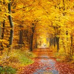 Bieszczady Synoptyk IMGW: Środa z temperaturą do 15 stopni