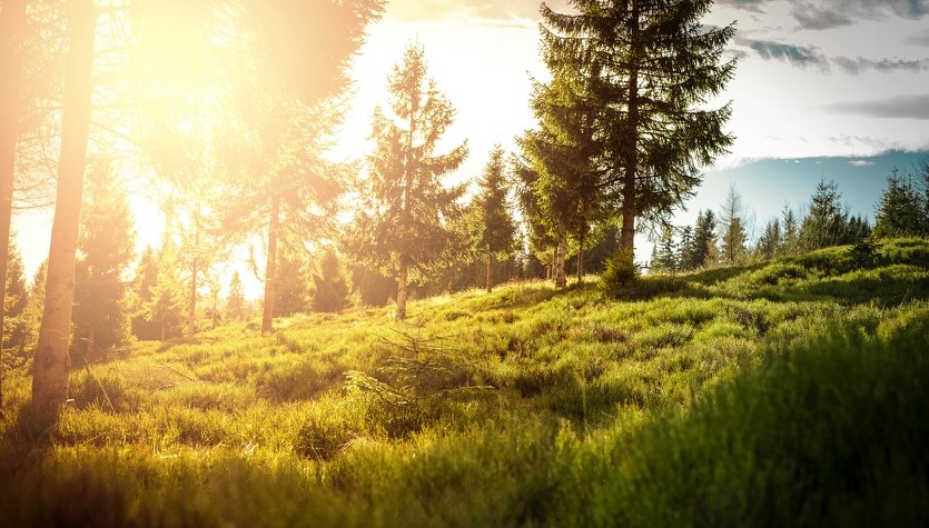 Synoptyk: Luty jest ekstremalnie ciepły, cieplejszy niż w 1990 roku