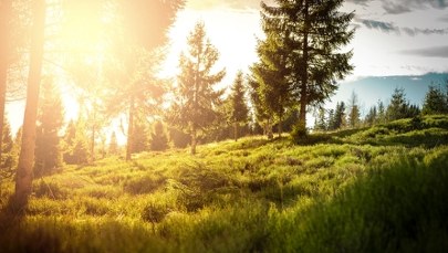 Synoptyk: Luty jest ekstremalnie ciepły, cieplejszy niż w 1990 roku