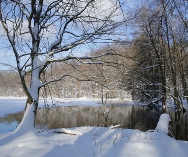 Synoptyk ostrzega: Topniejąc śnieg będzie zamarzał w nocy