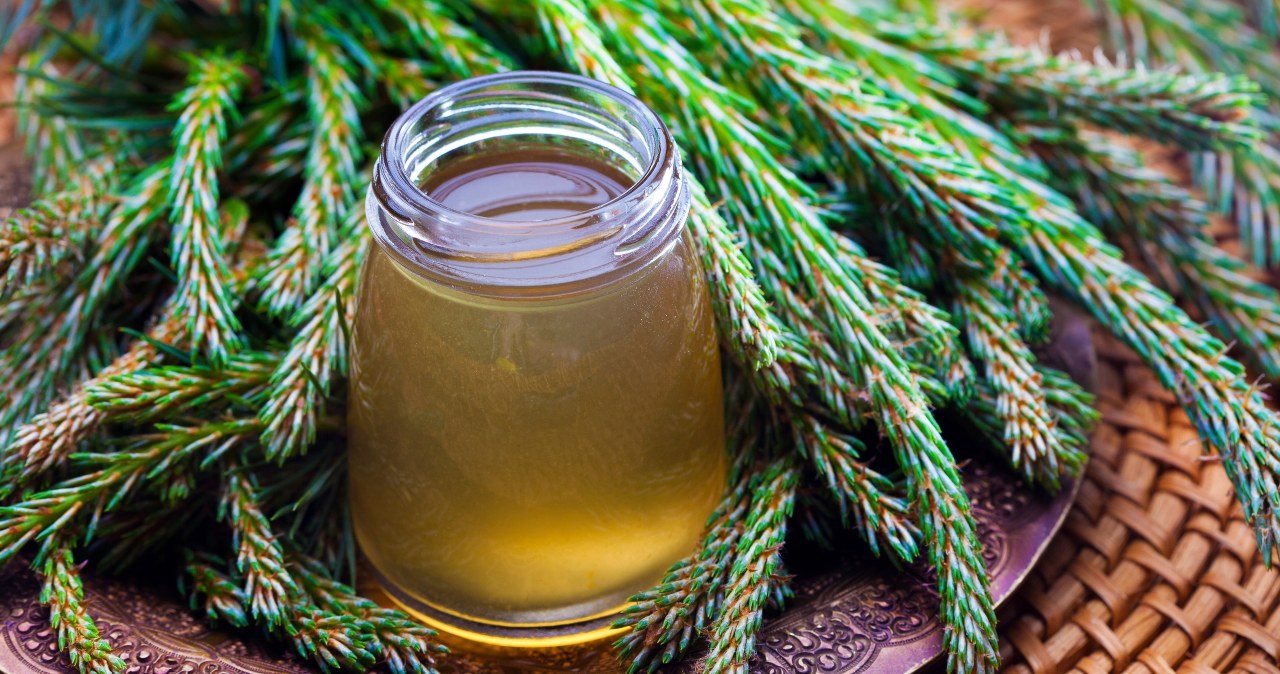 Syrop z sosny najlepiej przechowywać w chłodnym, ciemnym miejscu. /123RF/PICSEL