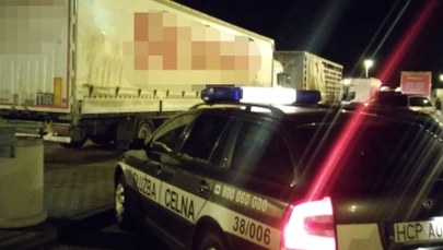 Syryjczycy, Irakijczycy i Turcy byli w ciężarówce zatrzymanej przy A4