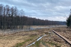 Sytuacja na polsko-białoruskiej granicy 